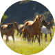 Product Of The Month: FOUNDERGUARD