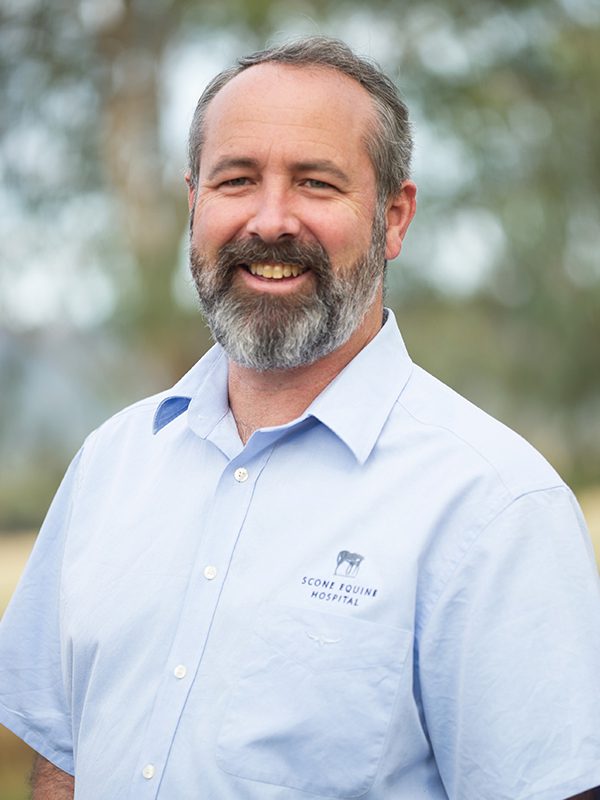 Dr David O’Meara