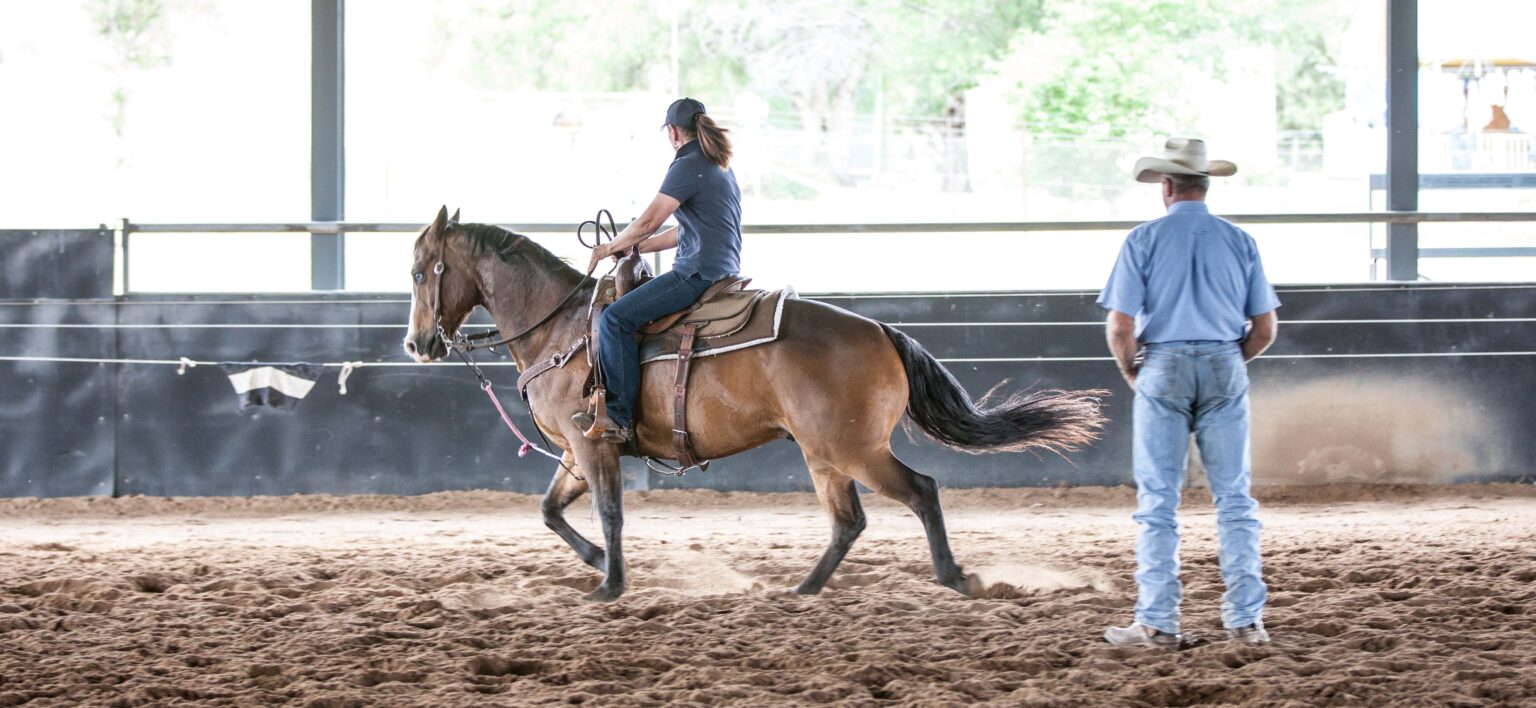 Equine Rehabilitation & Recovery NSW SEG